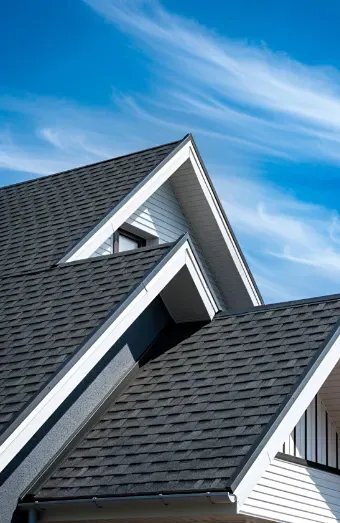 Shingle Roof Repair X